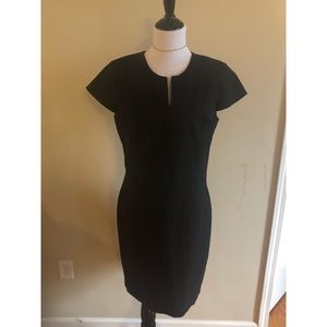 Banana republic fitted dress